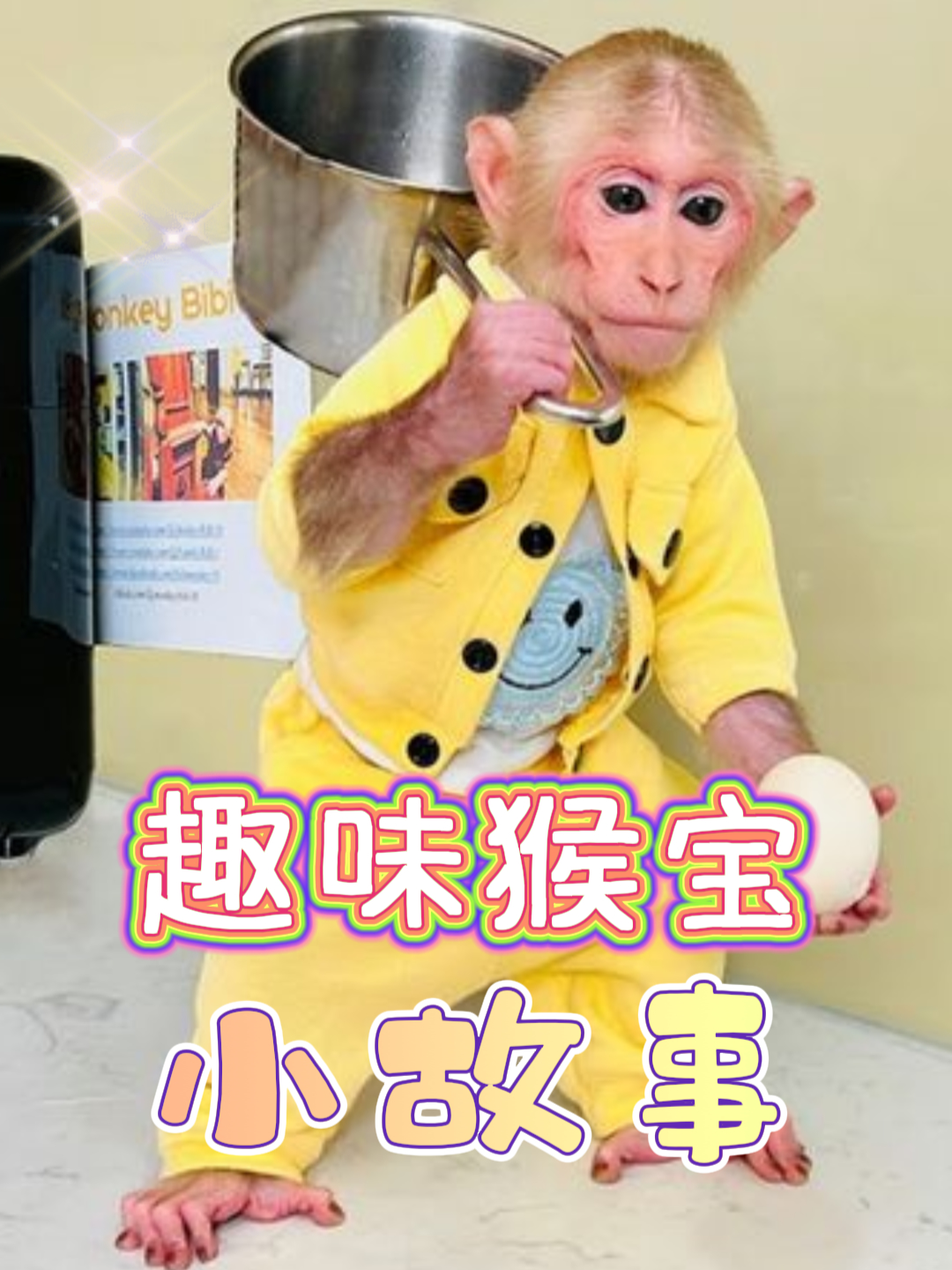 趣味猴宝小故事