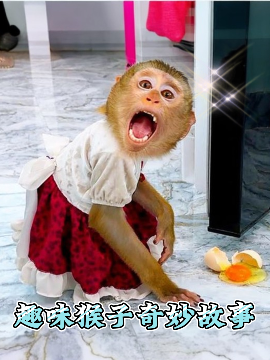 趣味猴子奇妙故事