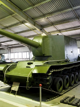 越南一级毛片在线观看