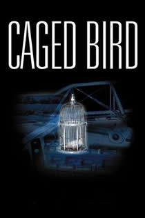 趴在小龙女身上尽情驰骋